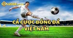 Kinh nghiệm cá cược bóng đá Việt Nam thắng đậm